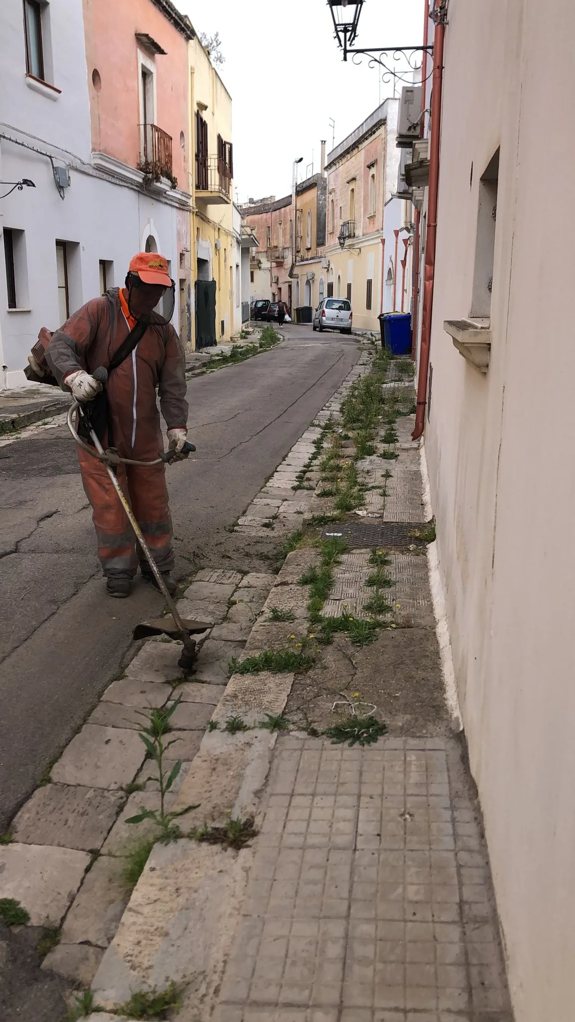 Immagine di Sfalcio radicale delle erbacce, via agli interventi