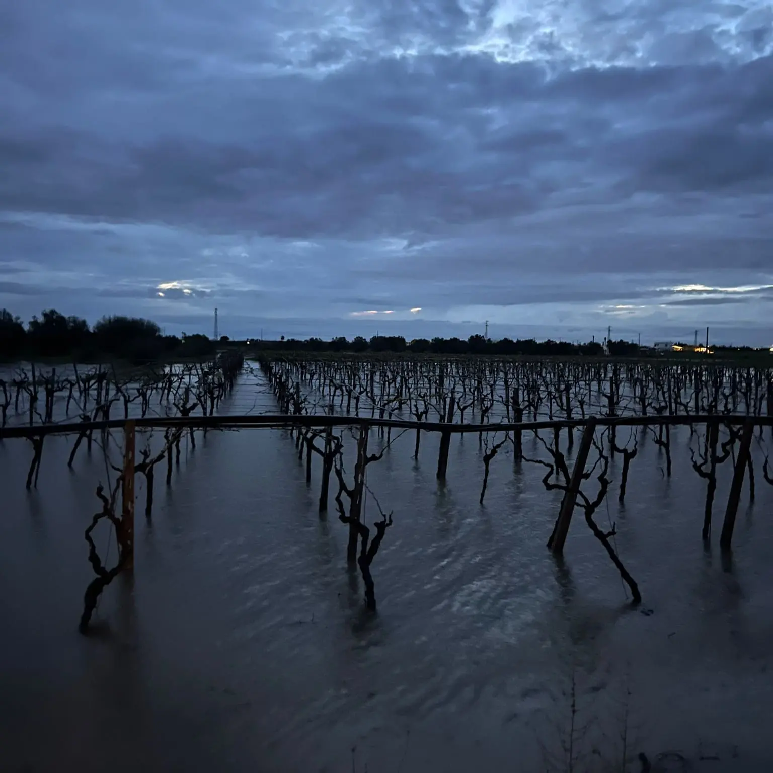 Maltempo e campi allagati